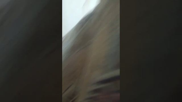 28 листопада 2023 р. смотреть онлайн