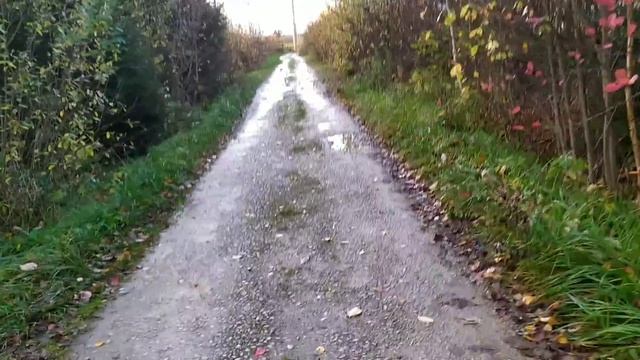 Живу на даче/Новости от Саши из больницы/вышла на улицу... смотреть онлайн