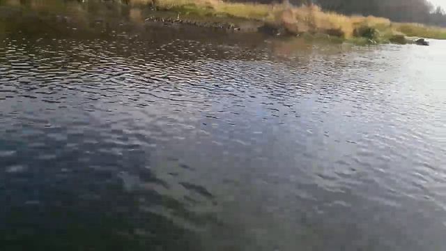 Hidea 9.8 лодка 300 смотреть онлайн