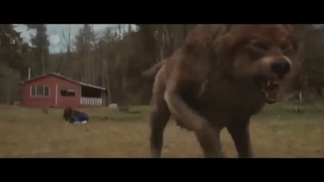 Микрофоны HyperX, какой лучше? [QUADCAST | SOLOCAST | QUADCAST S]