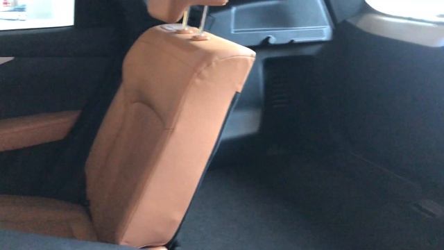 Weltmeister EX5 And W6 EV