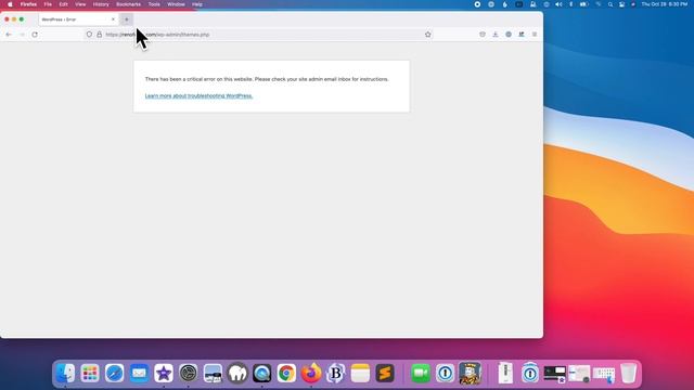 WordPress Theme Error Messages (Advanced) смотреть онлайн