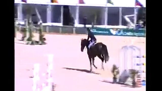 Colorino (by: Couleur Rubin) 8 years old - Stallion (Vilamoura) смотреть онлайн