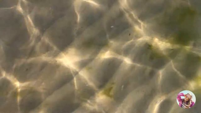 МОРЕ/СЕНТЯБРЬ/ОДЕССА/АРКАДИЯ/ЧАЙКИ смотреть онлайн