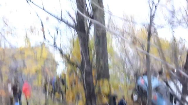 ЗОЛОТО ЖИГУЛЕЙ 2012 222 смотреть онлайн