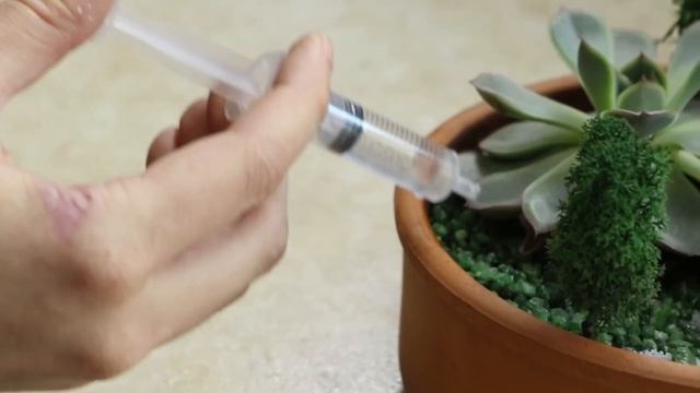 Как ухаживать за флорариумом. смотреть онлайн