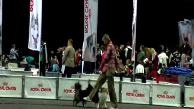 Лебедева Ирина и Шоу Элверас Любимец Публики и Марвитхолл Галатея смотреть онлайн