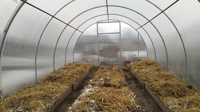 Посев редиса! Дезинфекция теплицы! Препараты сияние!... смотреть онлайн