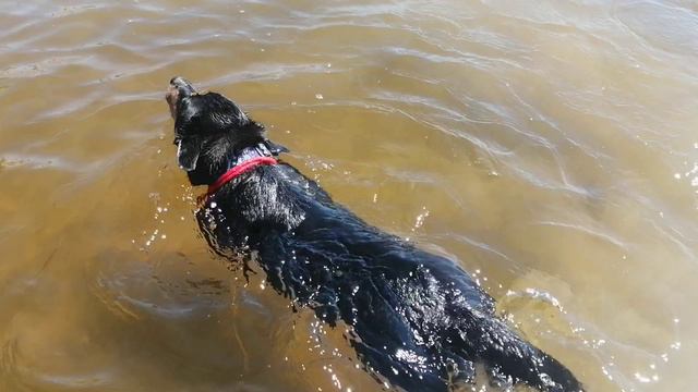 Лето на Крестовском смотреть онлайн