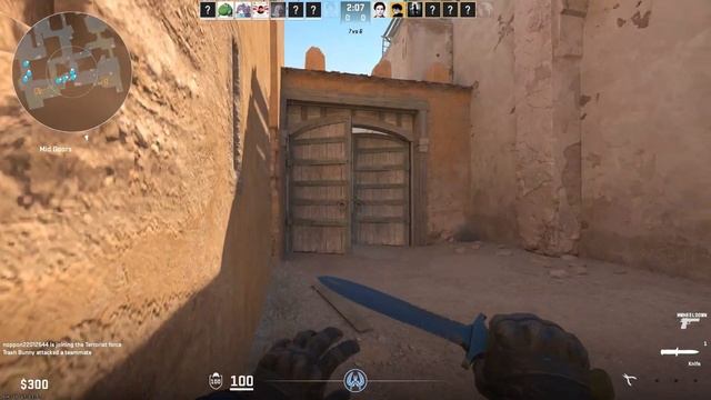 CS2 | Twerk and Deag смотреть онлайн