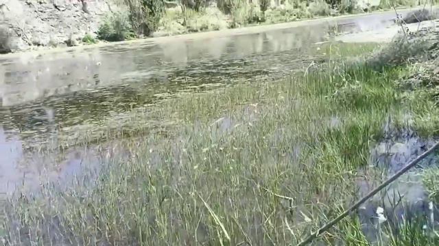 Чинободга илонбош овига келдик.22.апрель. 2023.йил. смотреть онлайн