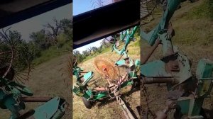 Сенокос 2021 года