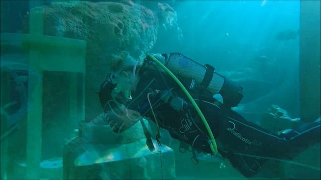 GoPro HERO4 TODI DIVING AQUARIUM GEANT смотреть онлайн