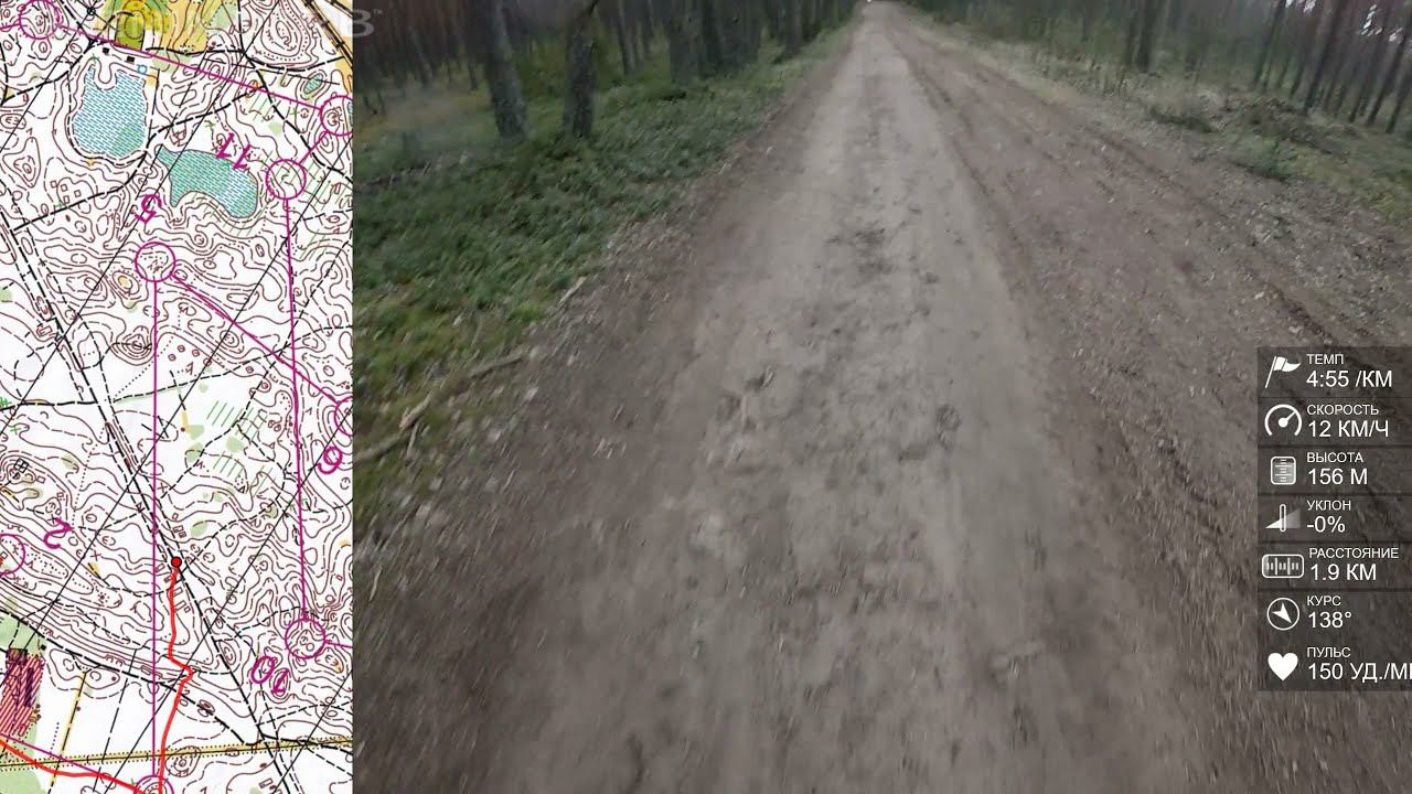 Спортивное ориентирование (headcam orienteering) - Кубок Псковской области, Идрица. смотреть онлайн