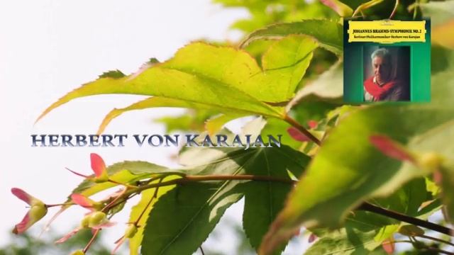 ブラームス： 交響曲 第2番 ニ長調 作品73 カラヤン / ベルリン・フィル 1977, 78 смотреть онлайн
