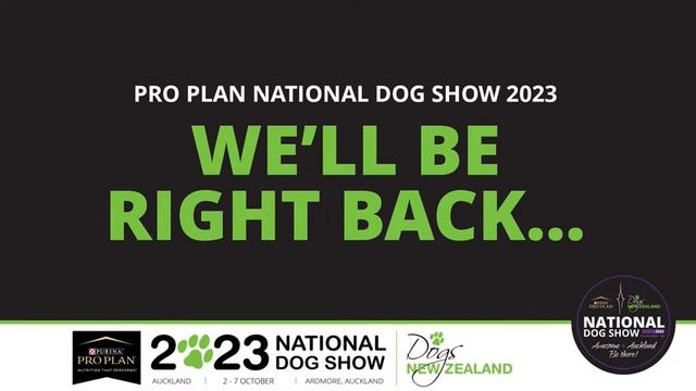 Purina Pro Plan National Dog Show 2023 смотреть онлайн