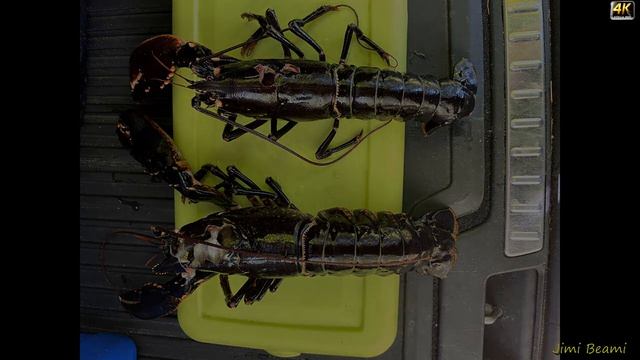 Лобстер на мангале,-- бомбический рецепт! смотреть онлайн