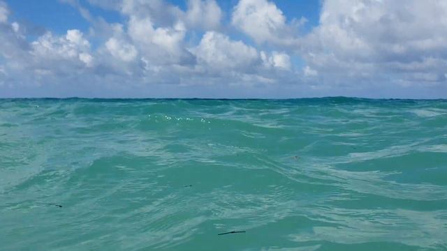 Отпуск с доставкой домой? / Саша Шпак смотреть онлайн