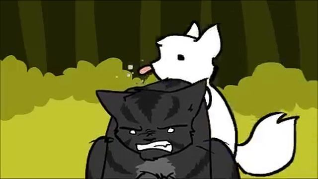 Cloudpaw Joins Thunderclan