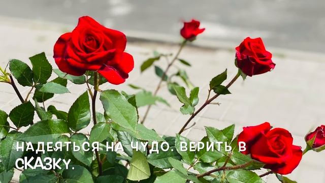 С ДНЕМ РОЖДЕНИЯ ЖЕНЩИНЕ! / ПОЗДРАВЛЕНИЕ С ДНЕМ РОЖДЕНИЯ КРАСИВОЙ, ДОБРОЙ И УМНОЙ ЖЕНЩИНЕ! смотреть онлайн