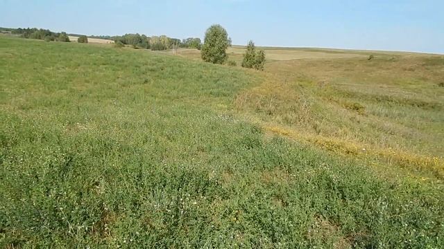 Кайфовый коп в полях. Коп металлолома 2021 смотреть онлайн