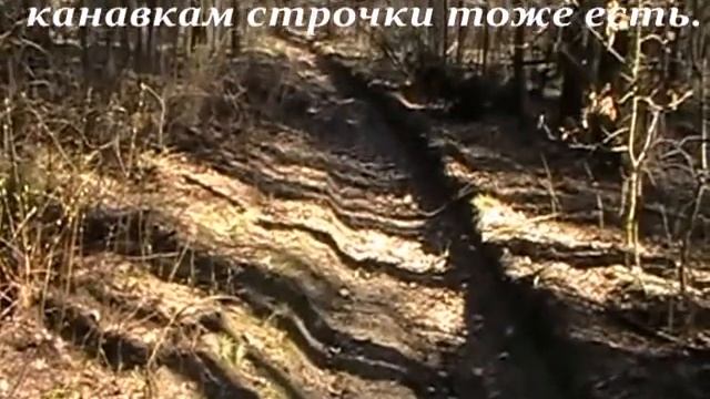 Строчки смотреть онлайн