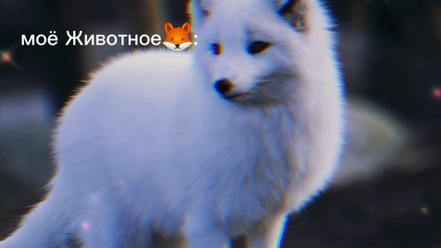 вертуальный мир травницы🔥🎧; смотреть онлайн