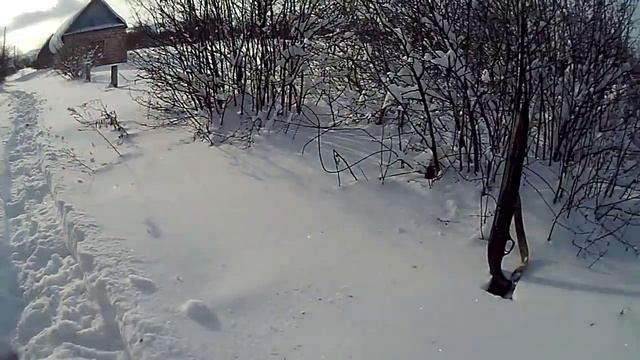 Охота на зайца в огородах! /Hunting the hare! in the gardens! смотреть онлайн
