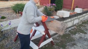 Декор для сада из хлама своими руками.