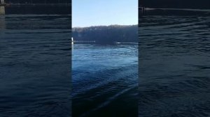 стеклопластиковая лодка охотник -1