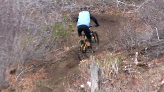 Top MOUNTAIN BIKES For 2022 - Vital MTB Favorites