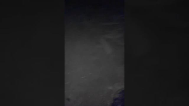 Как я храню червей всю зиму.