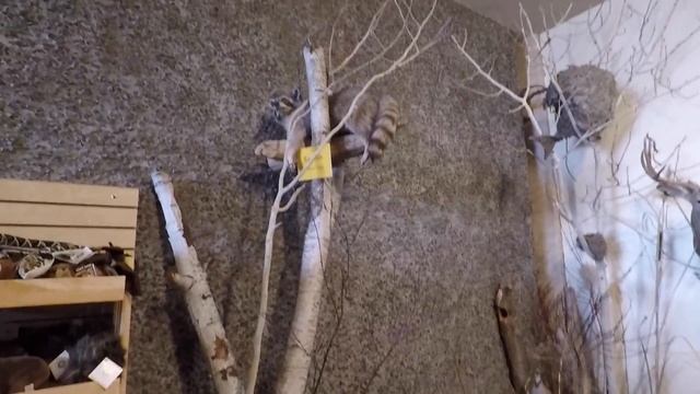 ВЛОГ #37. США. Сухие водопады в штате Вашингтон смотреть онлайн