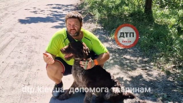 Каждый день спасаем и пристраиваем животных! Вам животное интересно иногда только первый день смотреть онлайн