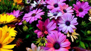 Просто Божественная, Непревзойденная музыка! Хочется слушать До Бесконечности! Музыки для души