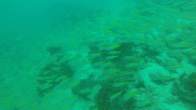 Sattahip Bay смотреть онлайн