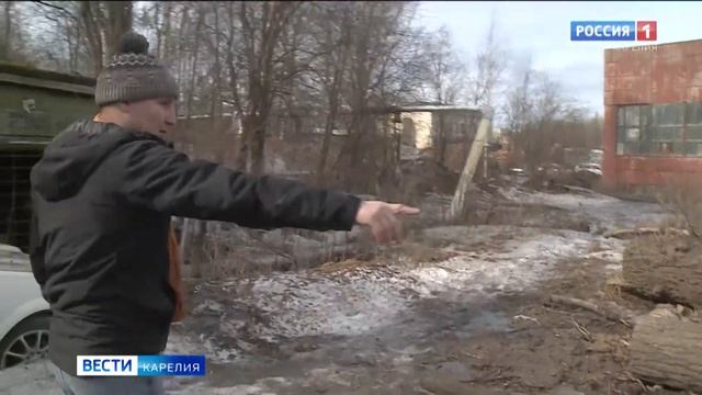 В Петрозаводске заметили рысь на одной из городских промзон смотреть онлайн