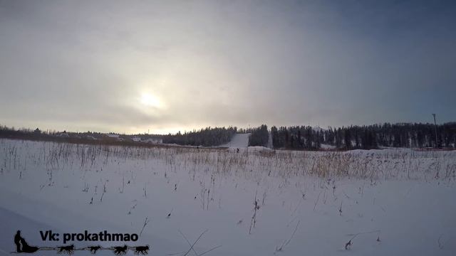Катания на собачьей упряжке, День всех влюбленных, Сургут смотреть онлайн
