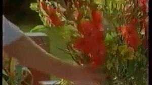 Реклама 90х Ментос Кипелов.