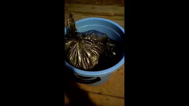 Рецепт приготовления сиропа для подкормки пчел в осенний период. смотреть онлайн