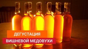 Дегустация вишневой медовухи. Просто бомбический результат  Просто, вкусно, весело и легко
