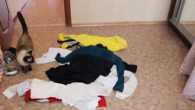 ЖИЗНЬ ПОД КЛАССИЧЕСКУЮ МУЗЫКУ смотреть онлайн