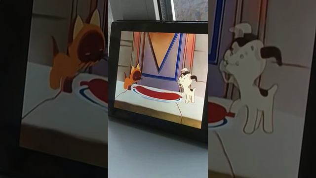 Кто сказал Мяу!!!??)))) смотреть онлайн