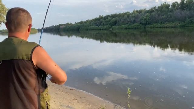 Рыбалка на воблу летом в Ахтубе с берега! смотреть онлайн