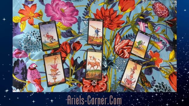 11/2/23 General Tarot Reading for All Signs: Daily online tarot reading смотреть онлайн