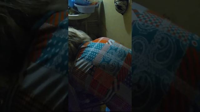 Пришел с работы не могу душ принять ,моется собака смотреть онлайн