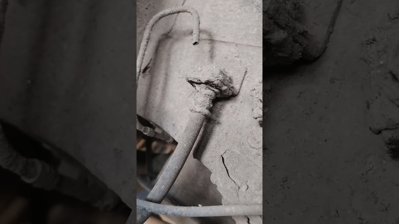 1 августа 2024 г. смотреть онлайн