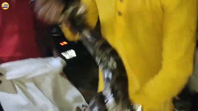হাত ভেঙ্গে...অবশেষে উদ্ধার সেই ভাইরাল বিশাল অজগর সাপ | Viral dangerous python rescue video смотреть онлайн