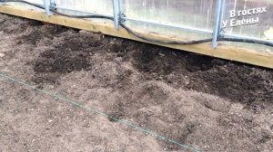 ХОРОШИЙ ГРУНТ- ЗАЛОГ УСПЕШНОГО УРОЖАЯ. ПИКИРОВКА ПЕРЦА С ЛАМА ТОРФ.