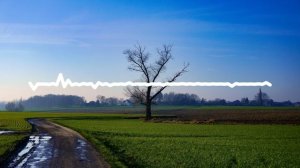 АЛИ САИДОВ -НЕ МОГУ БЕЗ ТЕБЯ 2024